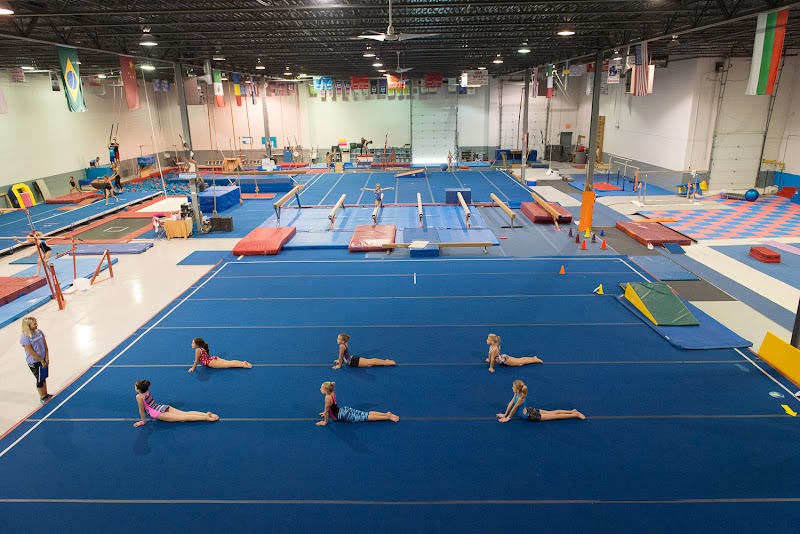 Euro Stars Gymnastics