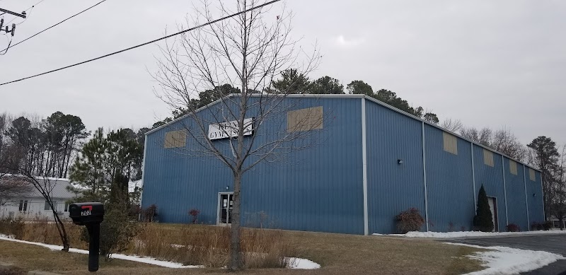 Island Gymnastics Inc. photo 2