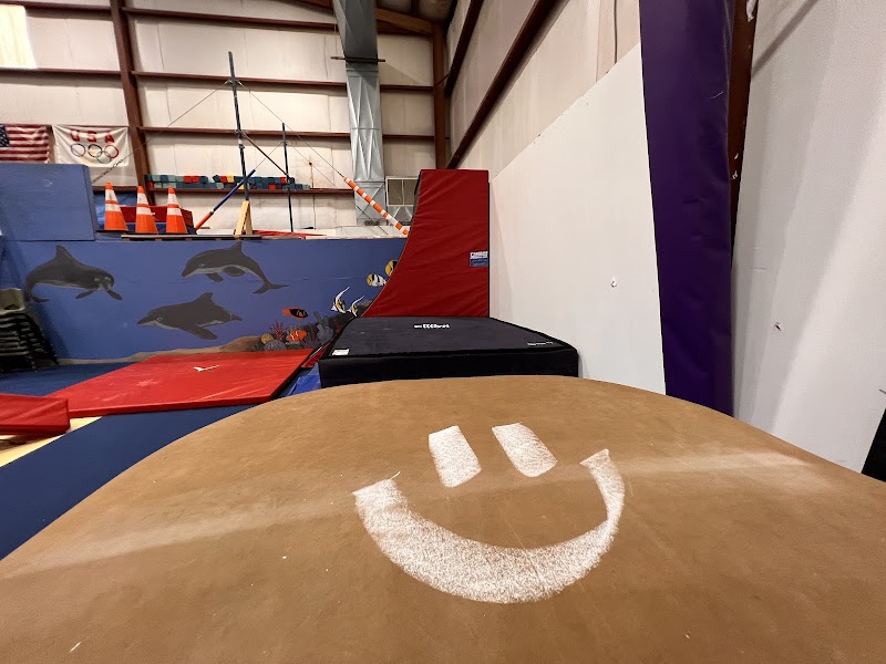Island Gymnastics Inc. photo 3