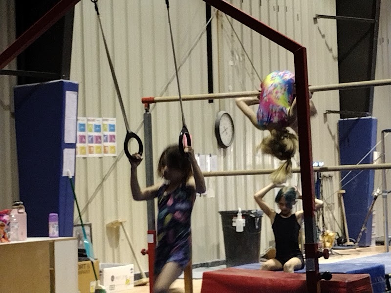 Southern Elite Gymnastics and Cheer photo 2