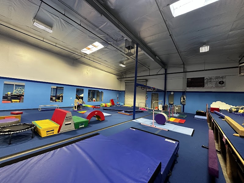 Genesis Gymnastics photo 2