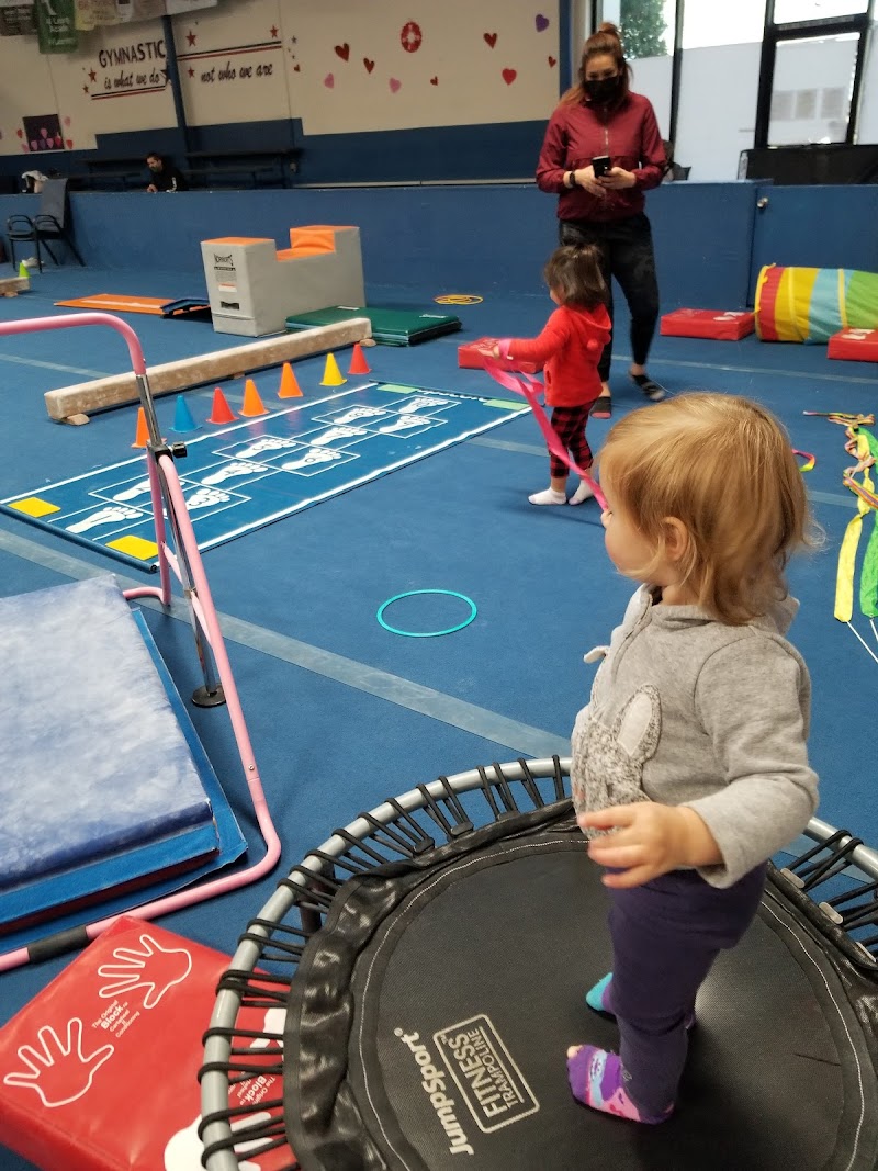 Genesis Gymnastics photo 3