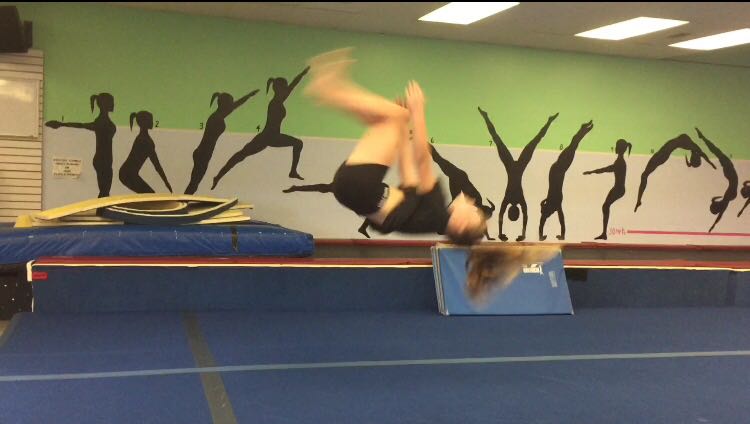 Flips & Fitness