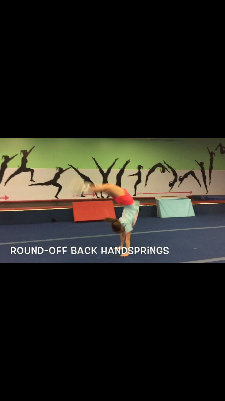 Flips & Fitness photo 3