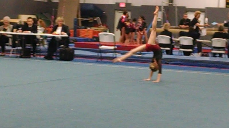 Dynamats Gymnastics Center photo 3