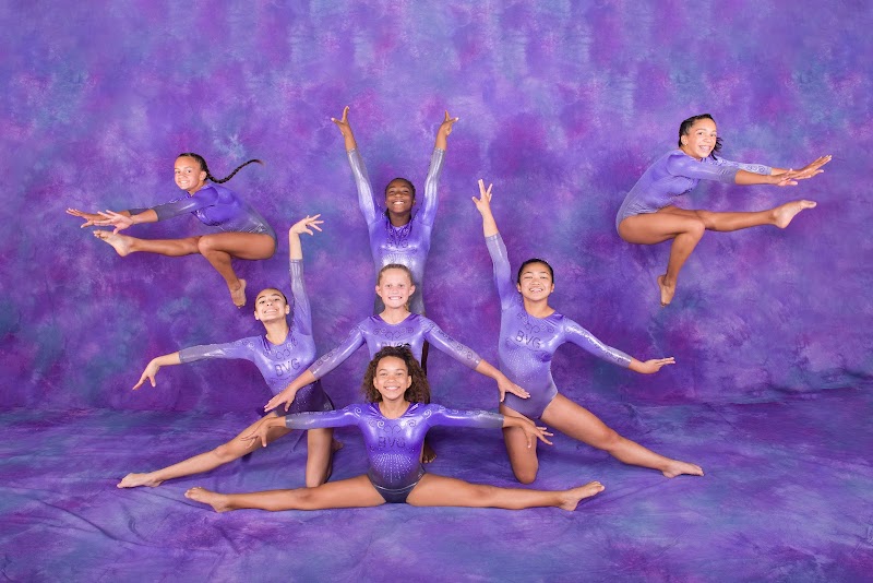 Baldy View Gymnastics