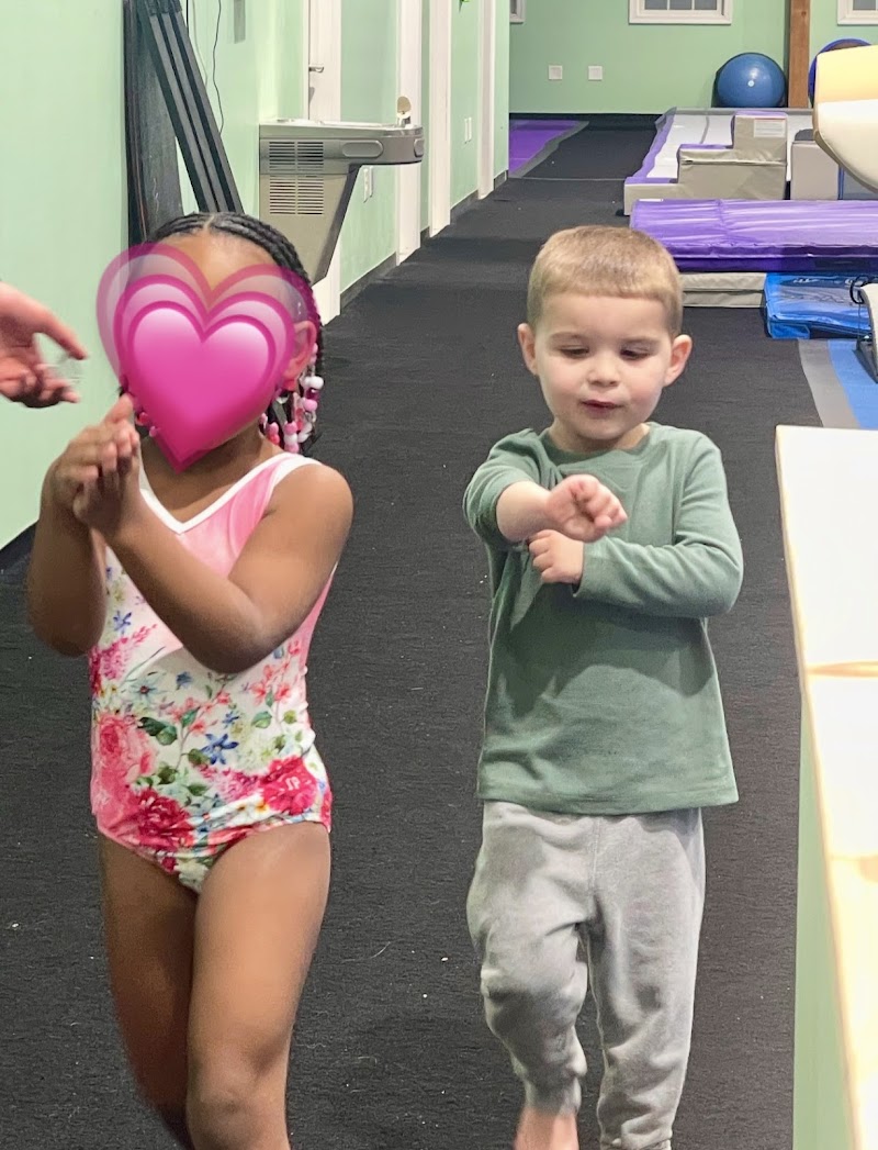 Evolution Gymnastics LLC photo 3
