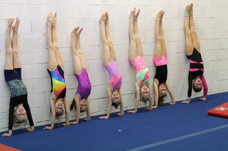 Creation Arts and Athletics/Metrolina Gymnastics photo 3