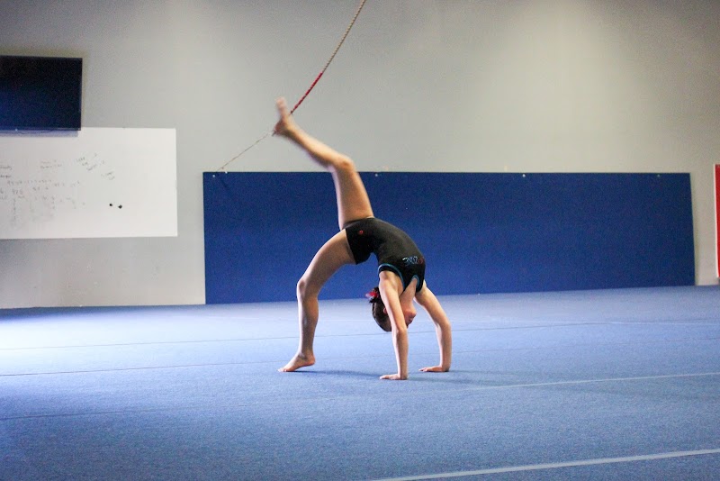 Flip Zone photo 2