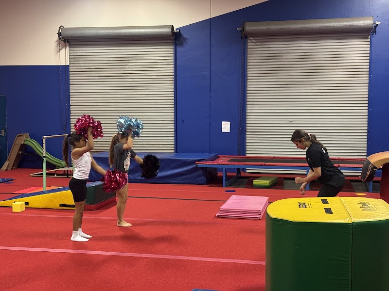 GymKidz photo 2