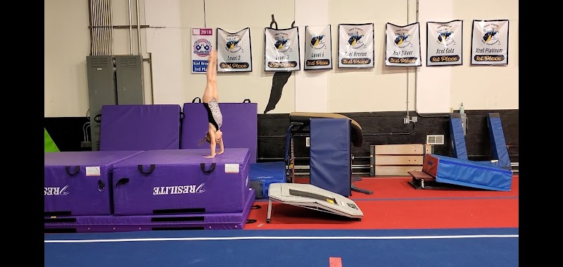 Flip N Cheer photo 3