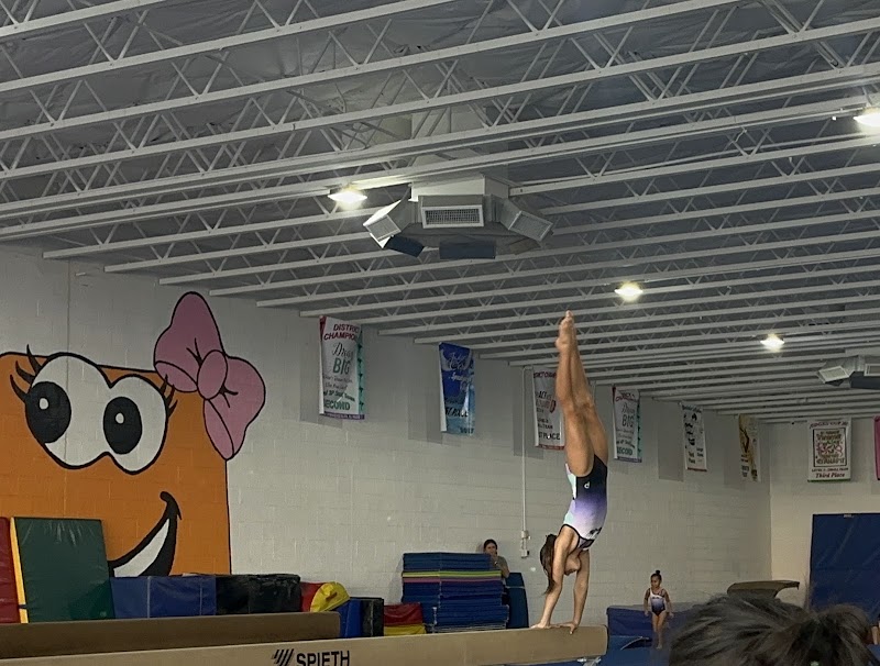 Gymnastics Elite for Kids photo 2