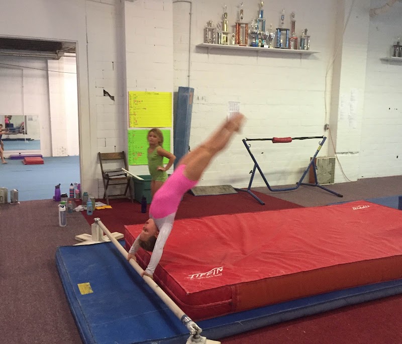 Willow Tree Gymnastics Academy photo 2