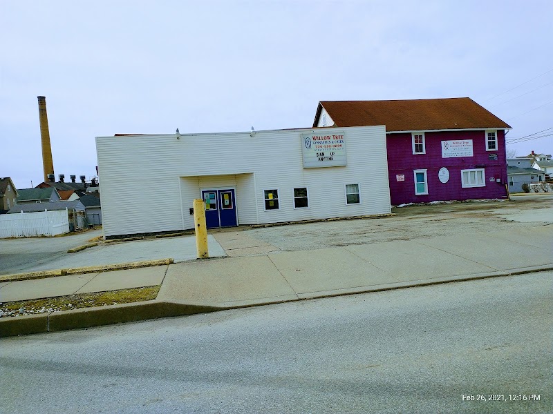Willow Tree Gymnastics Academy photo 3