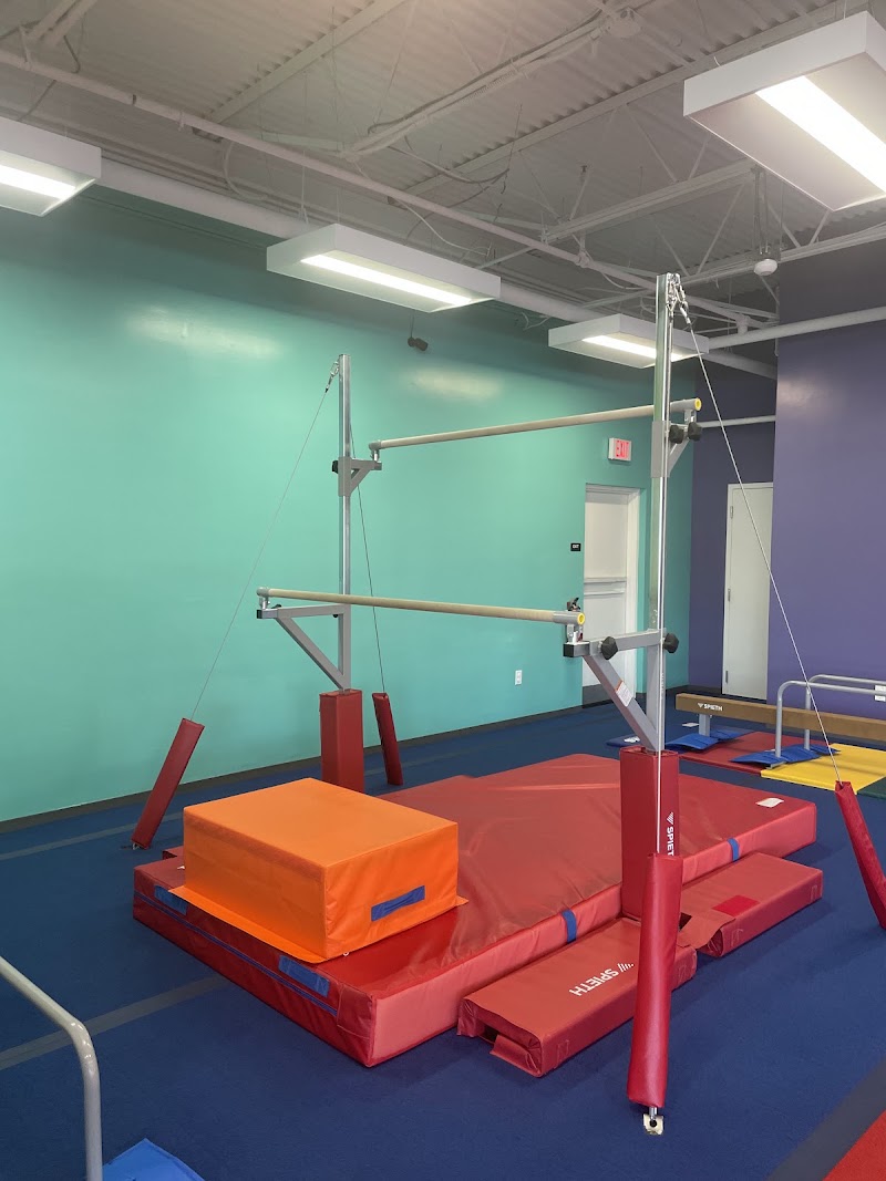 The Little Gym of Tampa-Carrollwood, FL