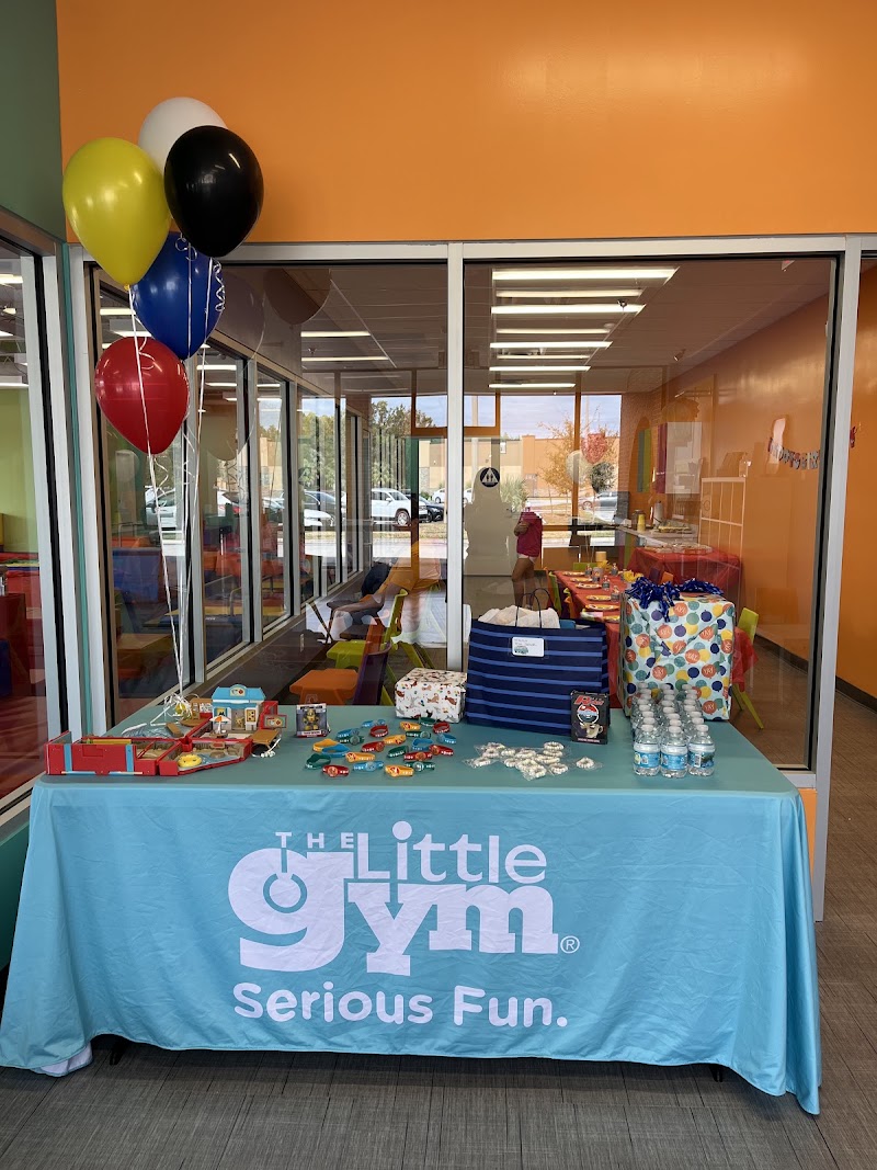 The Little Gym of Tampa-Carrollwood, FL photo 3