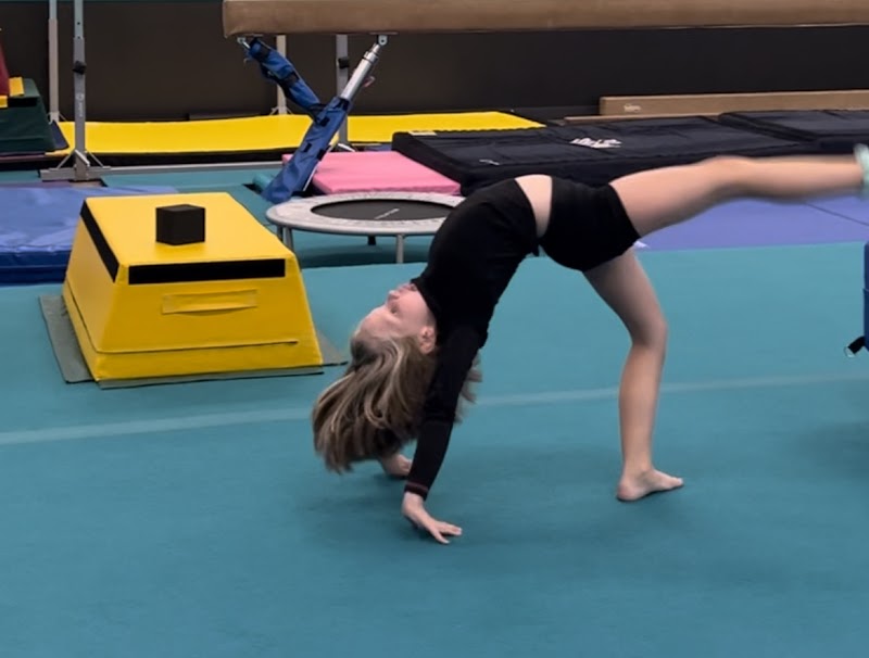 Fly Gymnastics photo 3