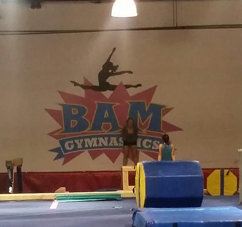 BAM Gymnastics photo 3