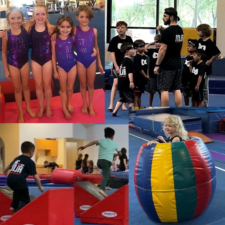 Flex Gymnastics AZ photo 2