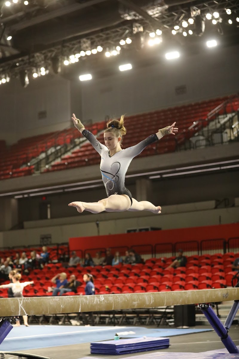 Sterling Academy of Gymnastics photo 3