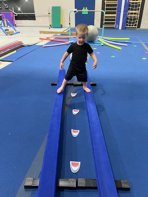 Elevation Athletics - Gymnastics photo 2