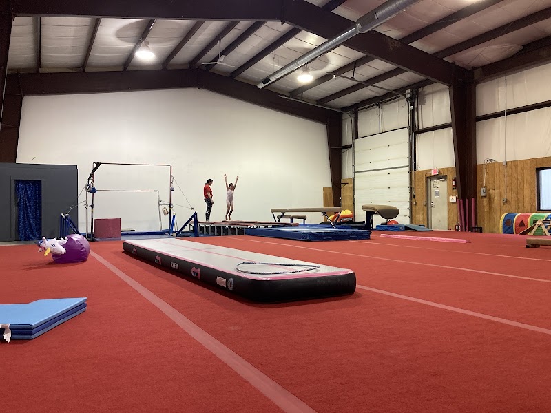Aries Gymnastics