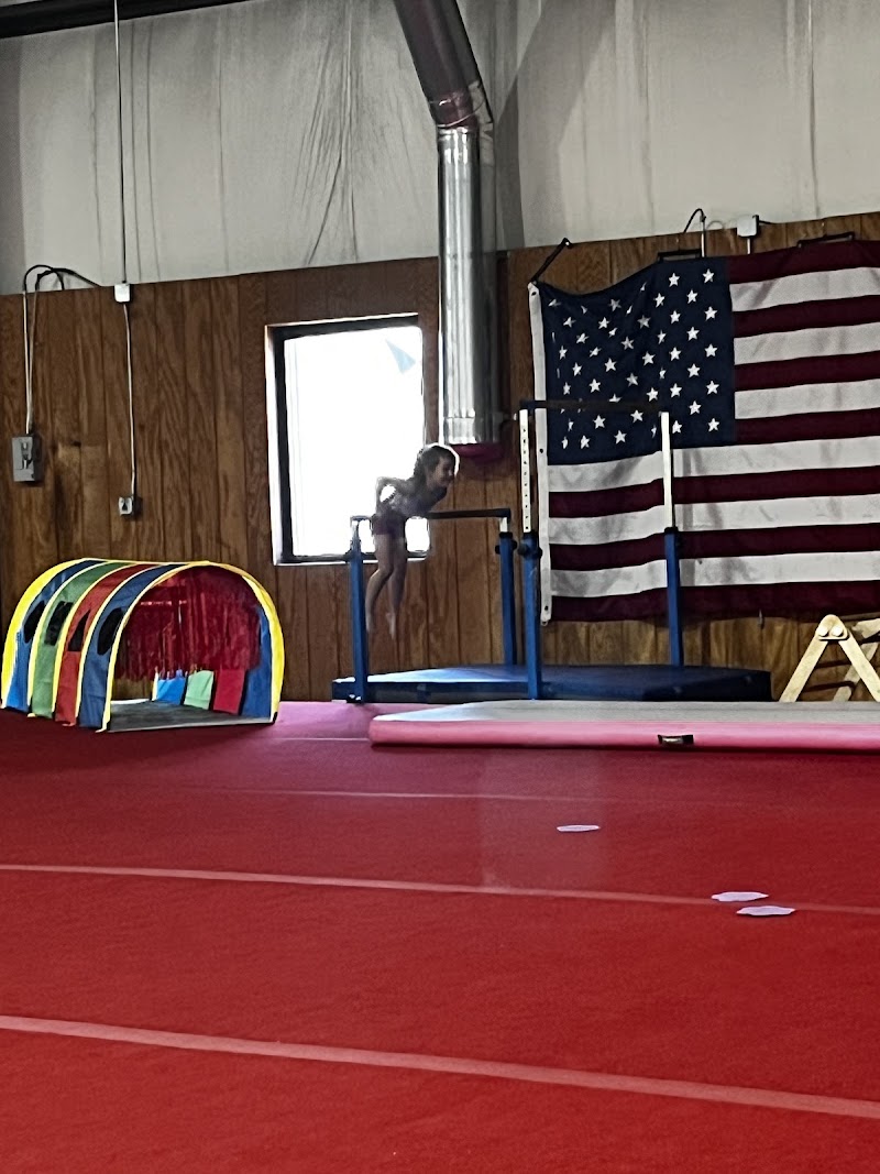 Aries Gymnastics photo 3