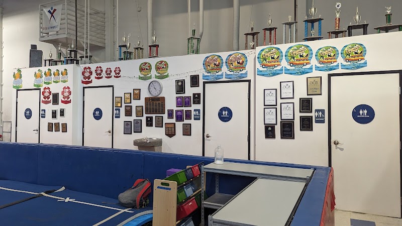 South Coast Gymnastics photo 2