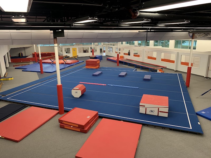 Alpha Gymnastics