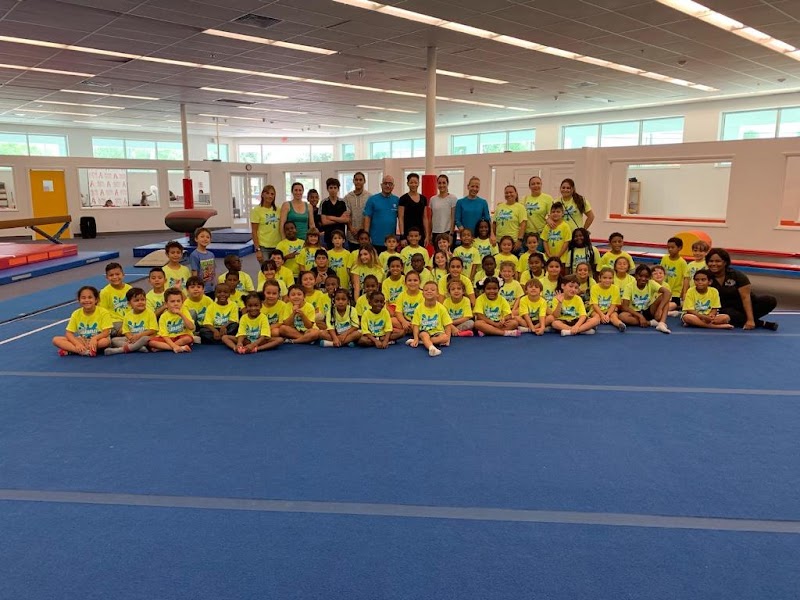 Alpha Gymnastics photo 3