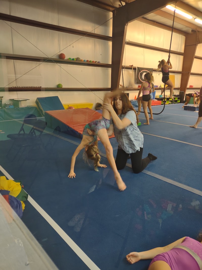 Emerald Coast Elite Gymnastics photo 3