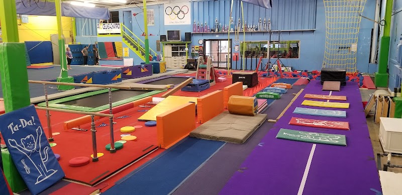 Bozhis Gym Nest