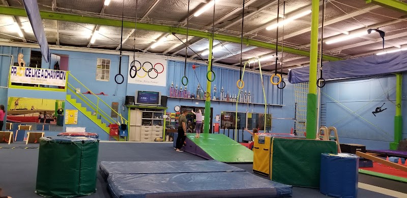 Bozhis Gym Nest photo 3