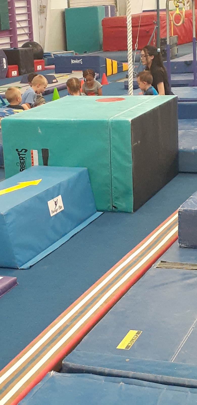 Savage Elite Gymnastics photo 2