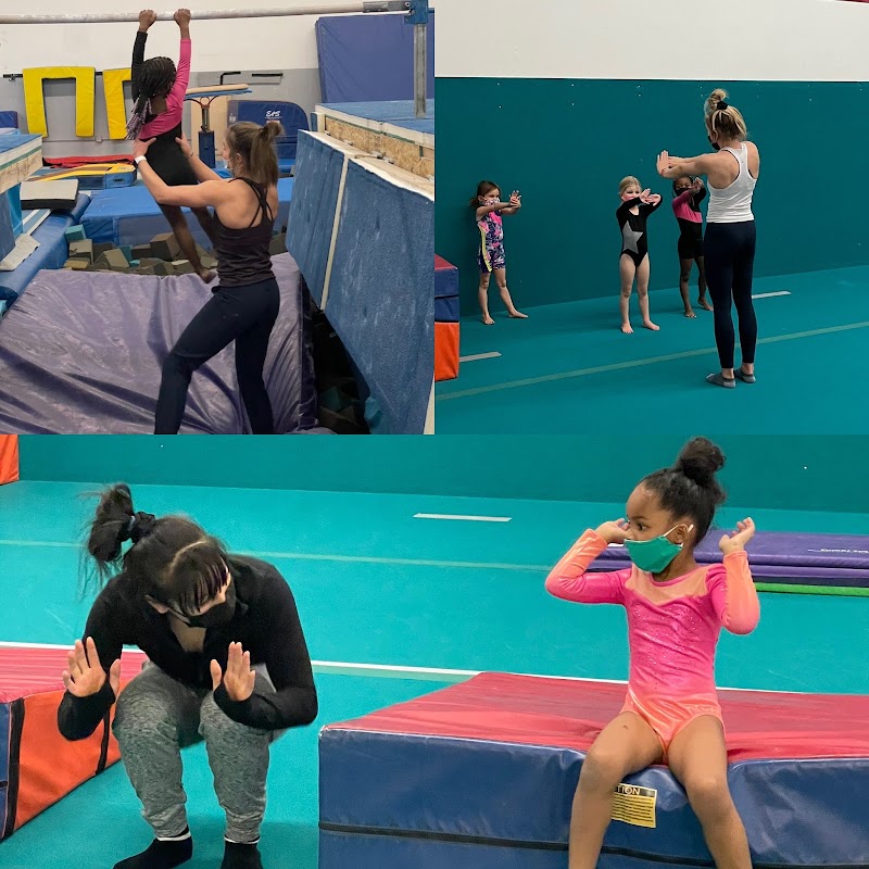 Gymtegrity Gymnastics photo 1