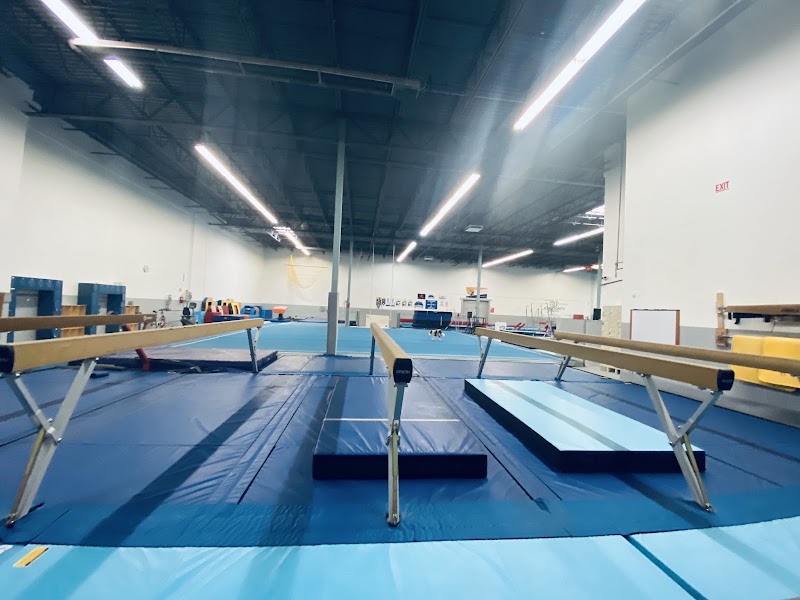 Gymtegrity Gymnastics photo 2