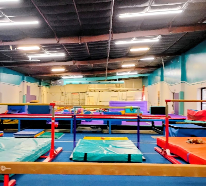 Extreme Gymnastics photo 2