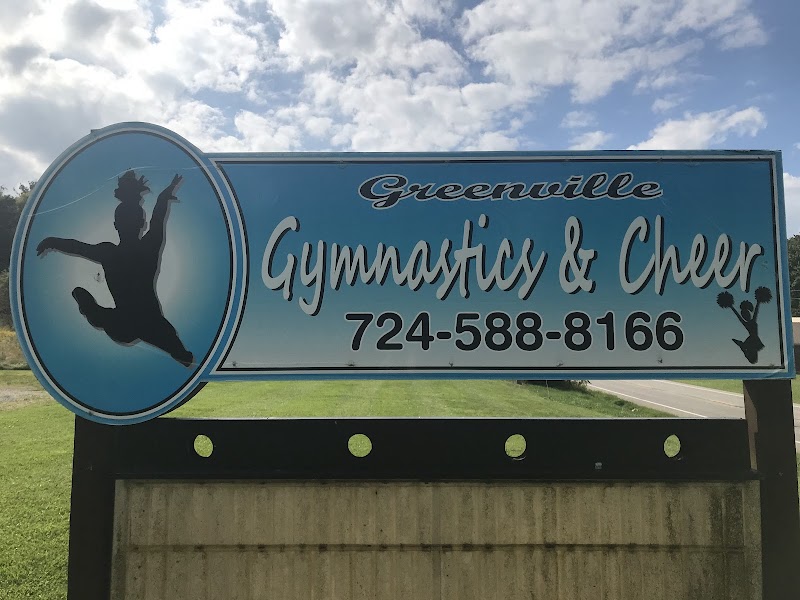 Greenville Gymnastics Academy and Cheer LLC. photo 3