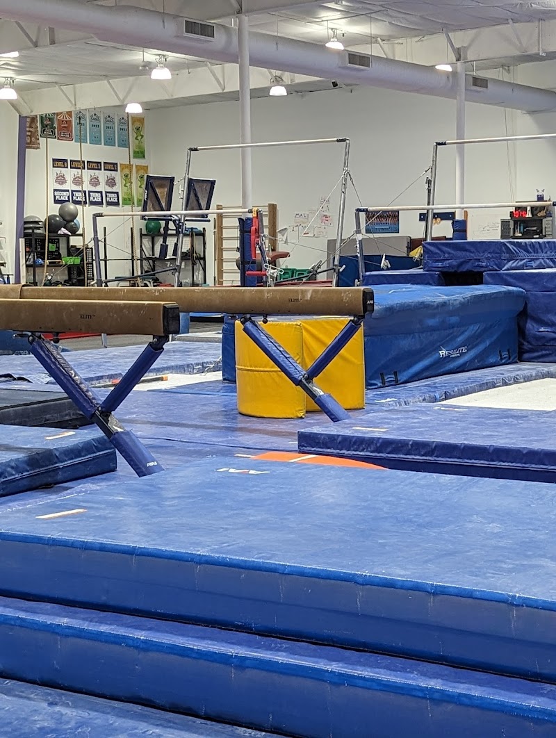 Northfield Gymnastics Club Inc photo 3