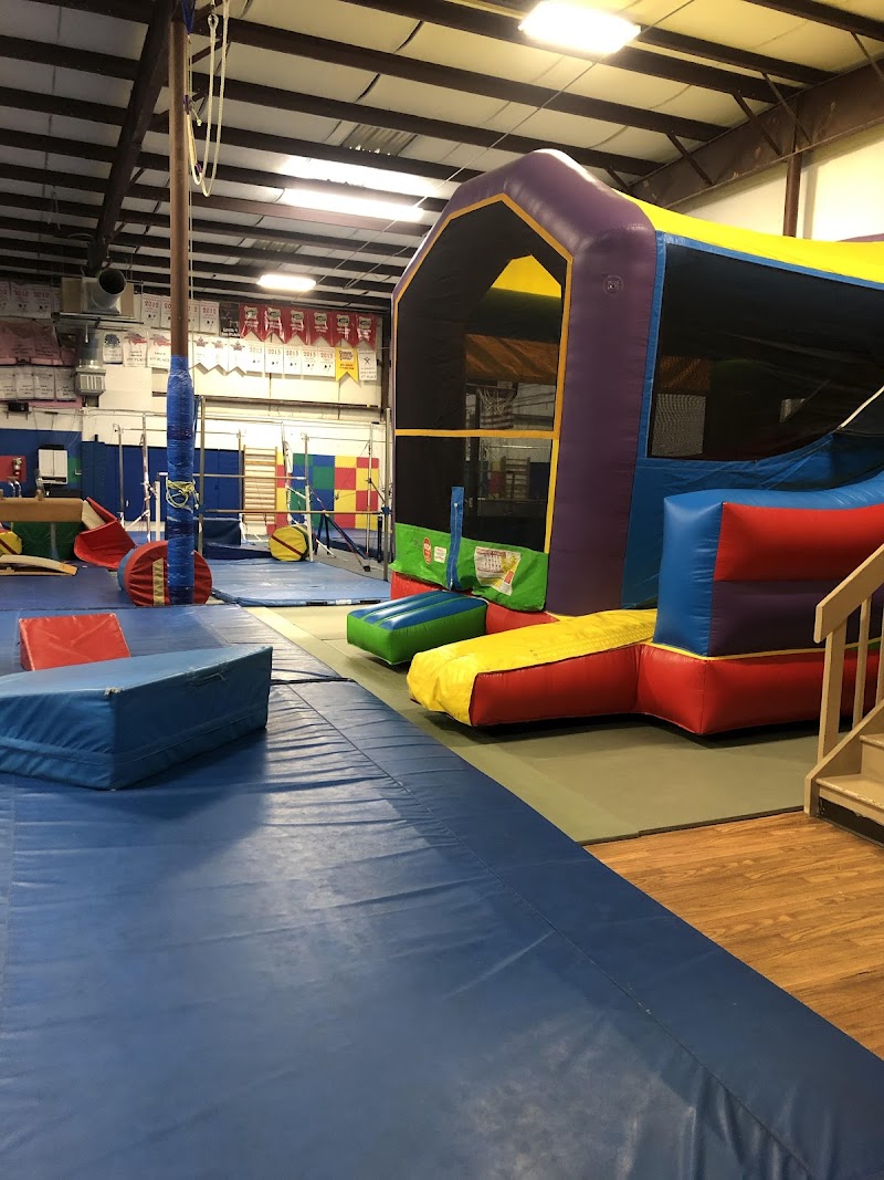 All Star Gymnastics