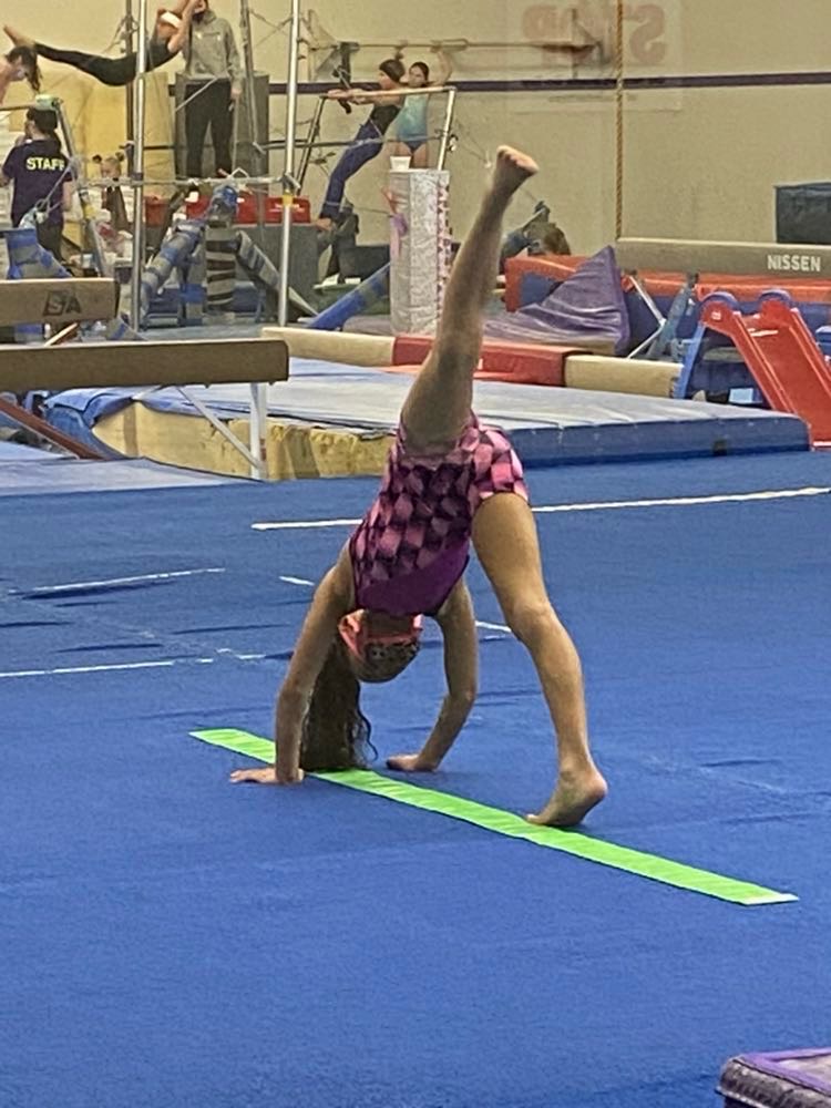 Maximum Gymnastix