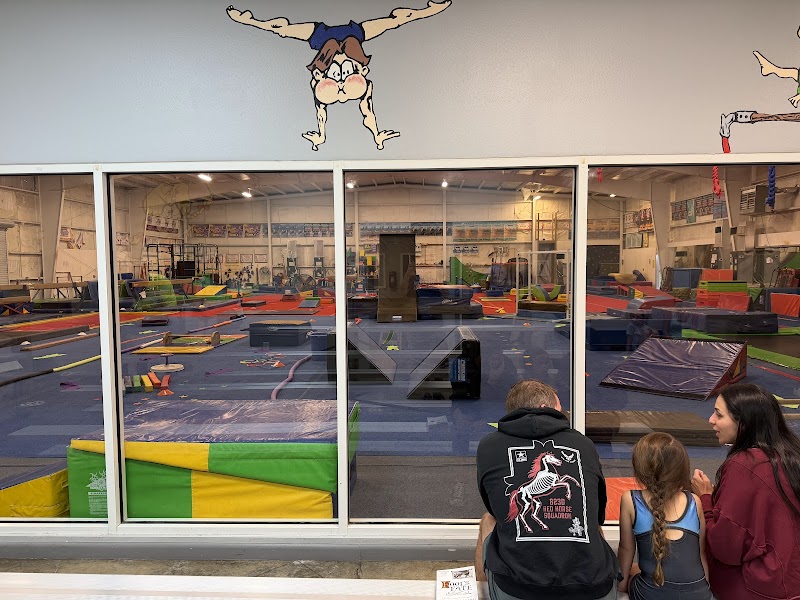First City Gymnastics