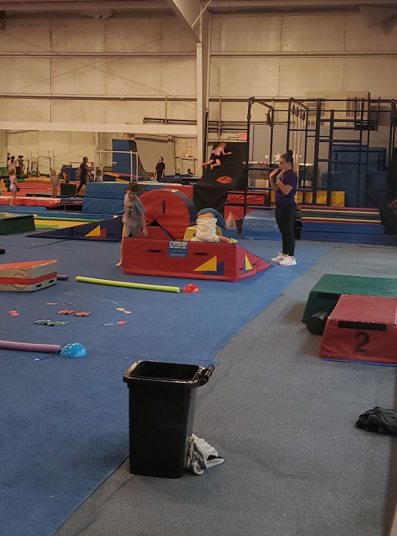 First City Gymnastics photo 2