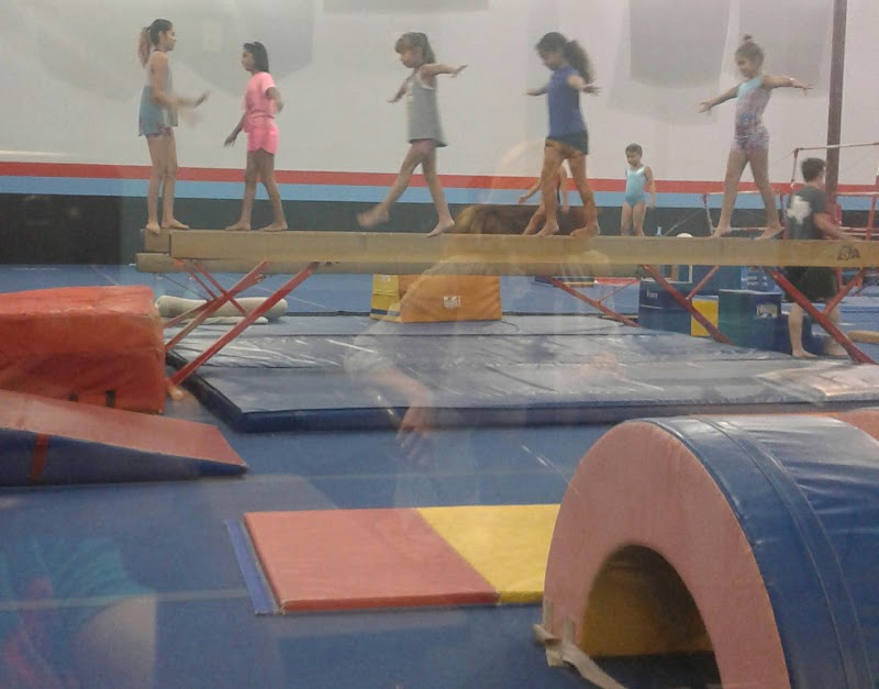 Texas Dynasty Cheer & Gymnastics photo 2