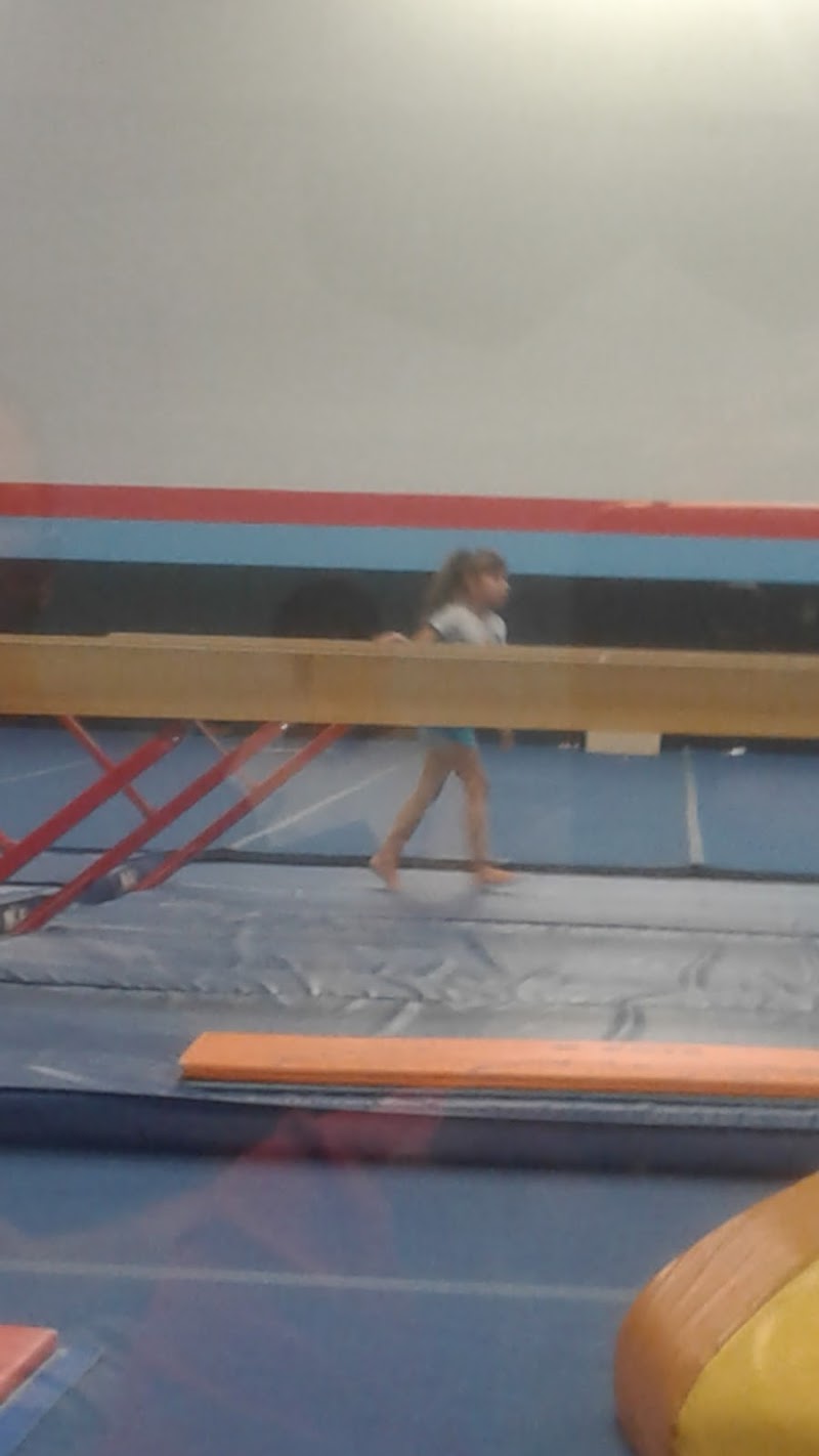 Texas Dynasty Cheer & Gymnastics photo 3