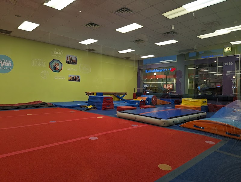 The Little Gym of Chicago photo 2