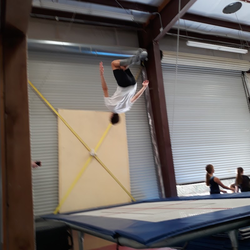 Perfect 10 Gymnastics Training Center photo 3