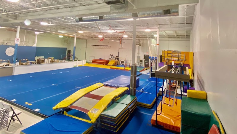 High Energy Gymnastix