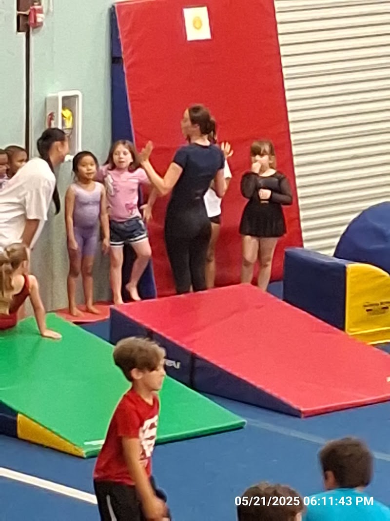 Precision South Gymnastics Academy photo 3
