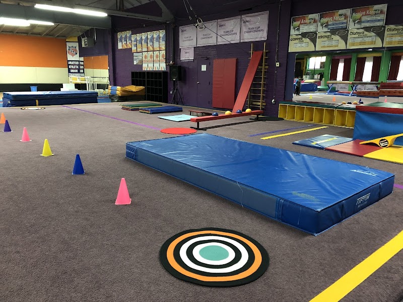 Athletic Arts Academy photo 2